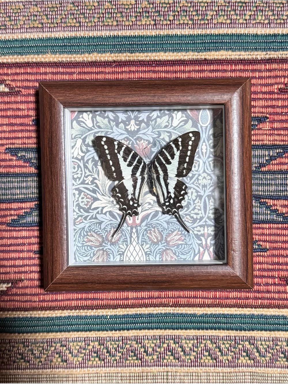 Framed Black and White Butterfly Wall Art by